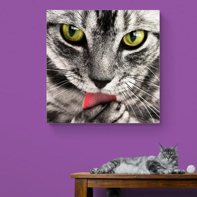Tablou canvas - Miauuu!