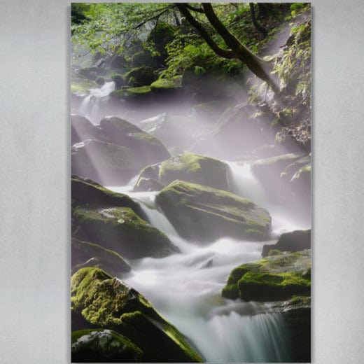 Tablou canvas - Rau involburat - Cameradevis.ro