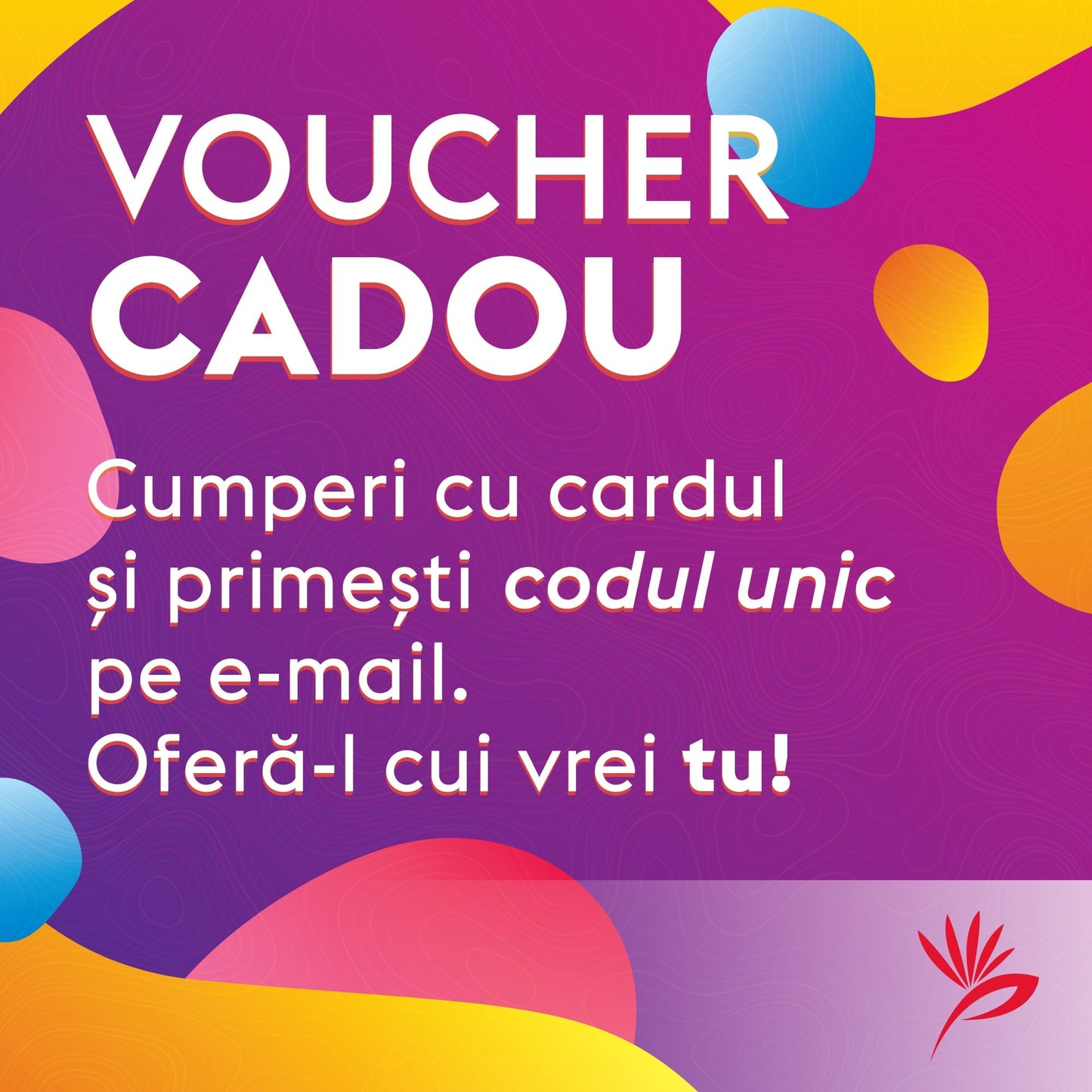 Card Cadou pentru tablouri - Zibo.ro
